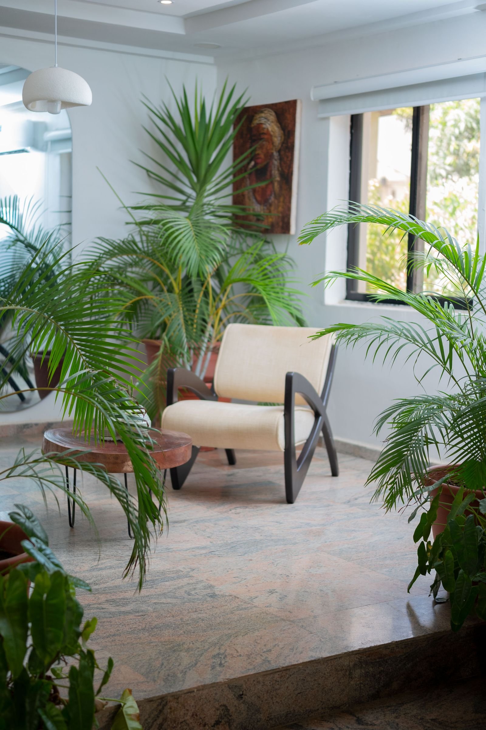 Cerramiento de terraza con plantas tropicales y luz exterior